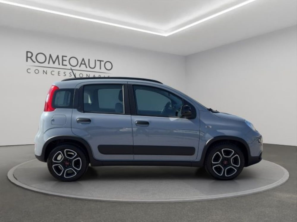 Fiat Panda usata a Perugia (7)