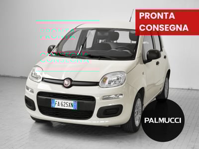 Fiat Panda 1.2 Easy del 2015 usata a Prato