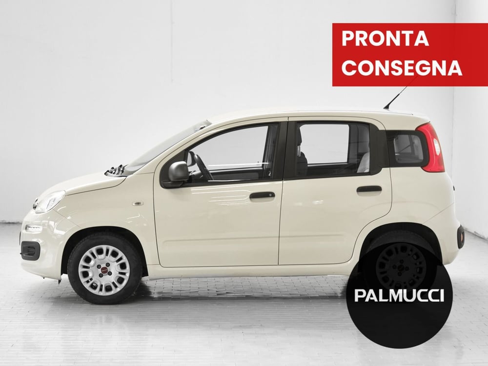Fiat Panda usata a Prato (3)