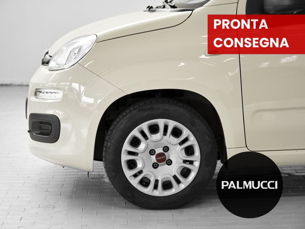 Fiat Panda usata a Prato (4)