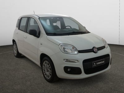 Fiat Panda 1.2 Easy del 2019 usata a Torino