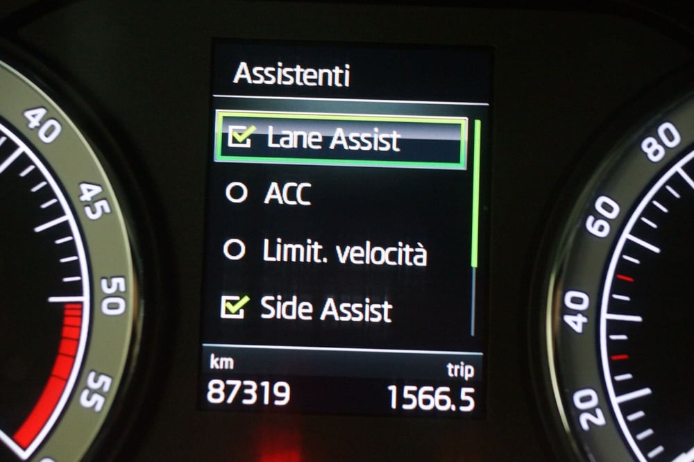 Skoda Kodiaq usata a Torino (17)