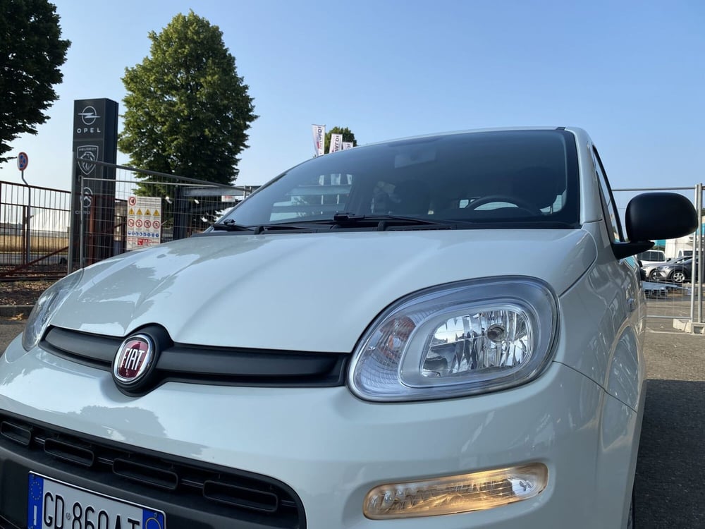 Fiat Panda usata a Modena (15)