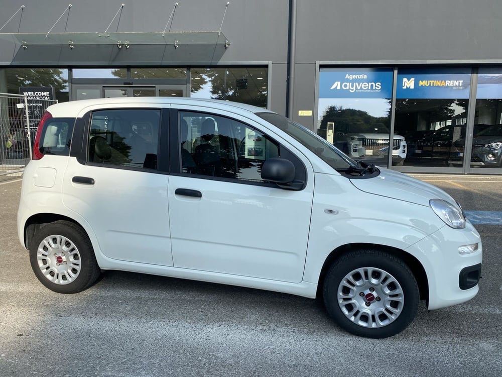 Fiat Panda usata a Modena (4)