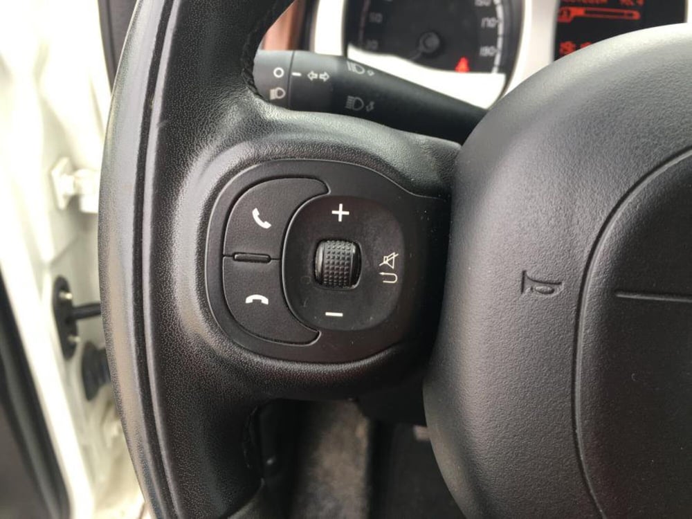 Fiat Panda Cross usata a Cuneo (16)