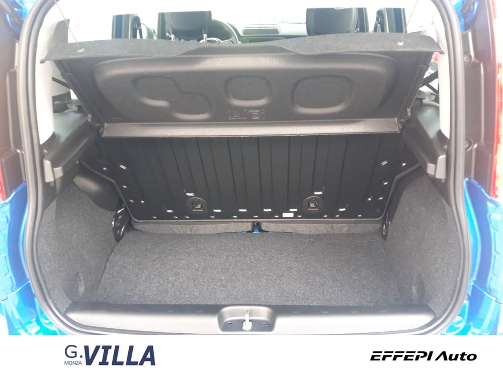 Fiat Panda Cross usata a Monza e Brianza (9)