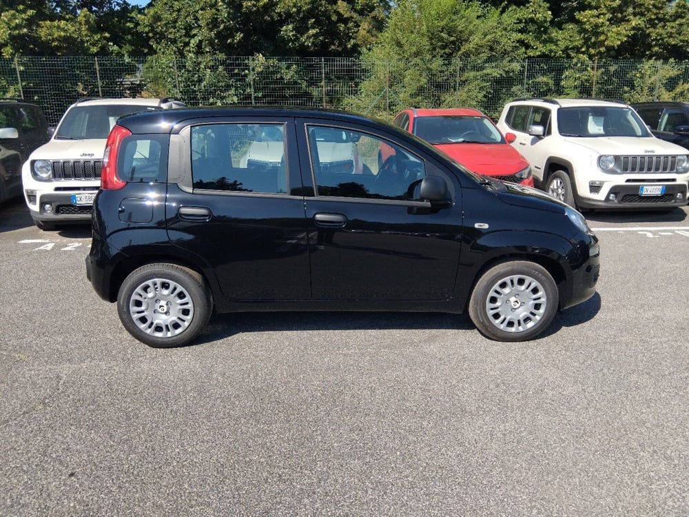 Fiat Panda nuova a Roma (6)