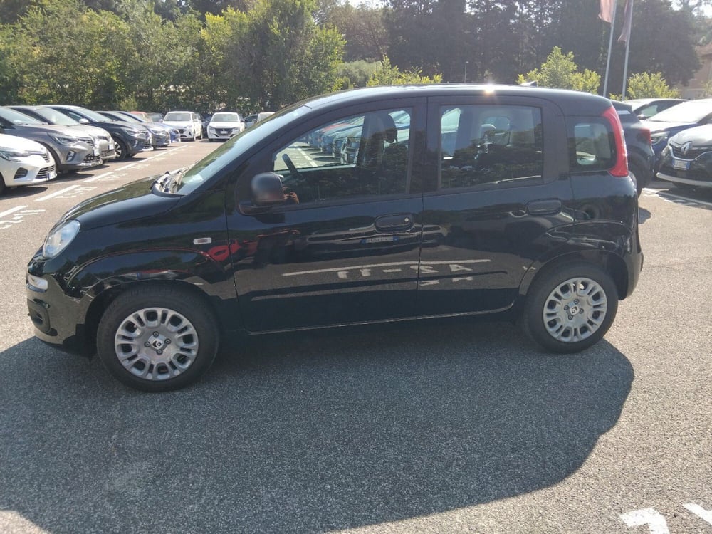 Fiat Panda nuova a Roma (8)