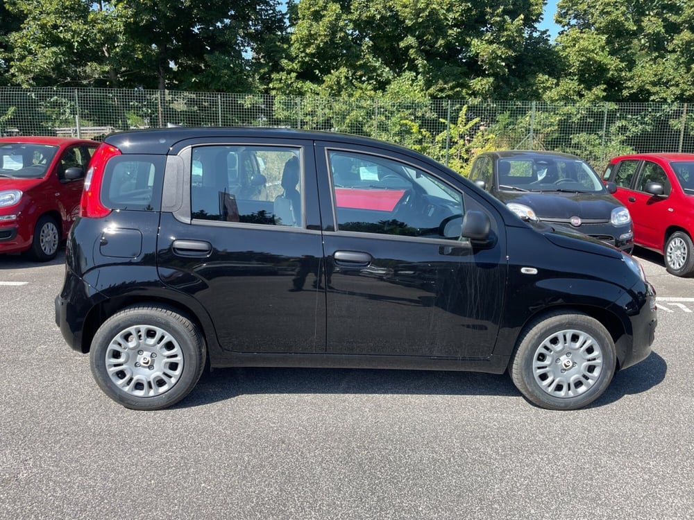 Fiat Panda nuova a Roma (7)