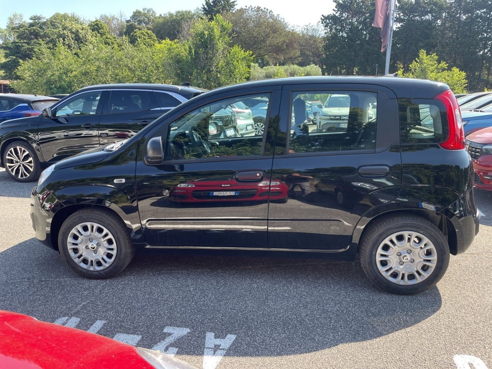 Fiat Panda nuova a Roma (8)