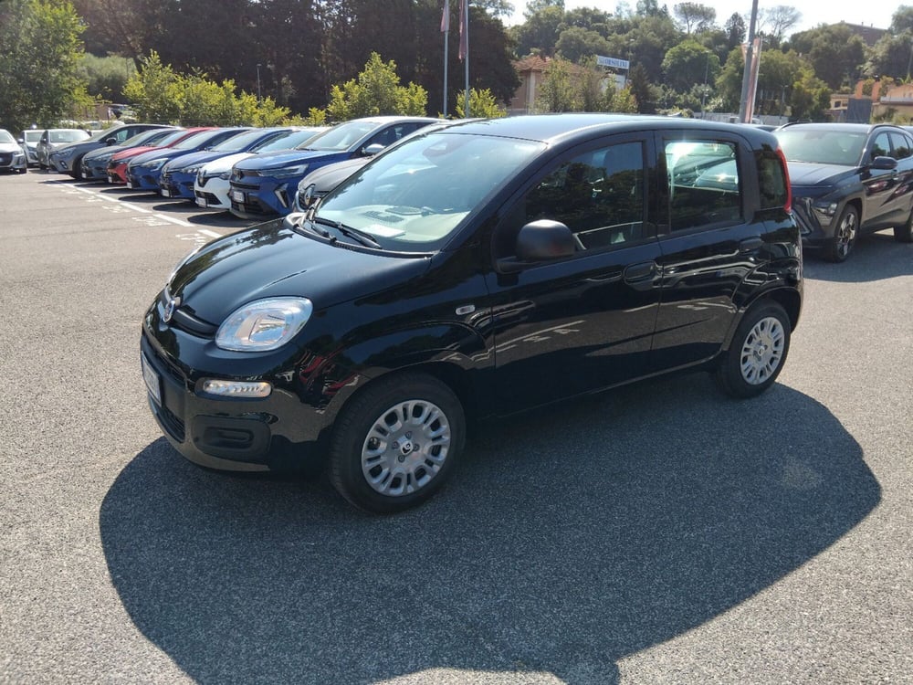 Fiat Panda nuova a Roma (8)
