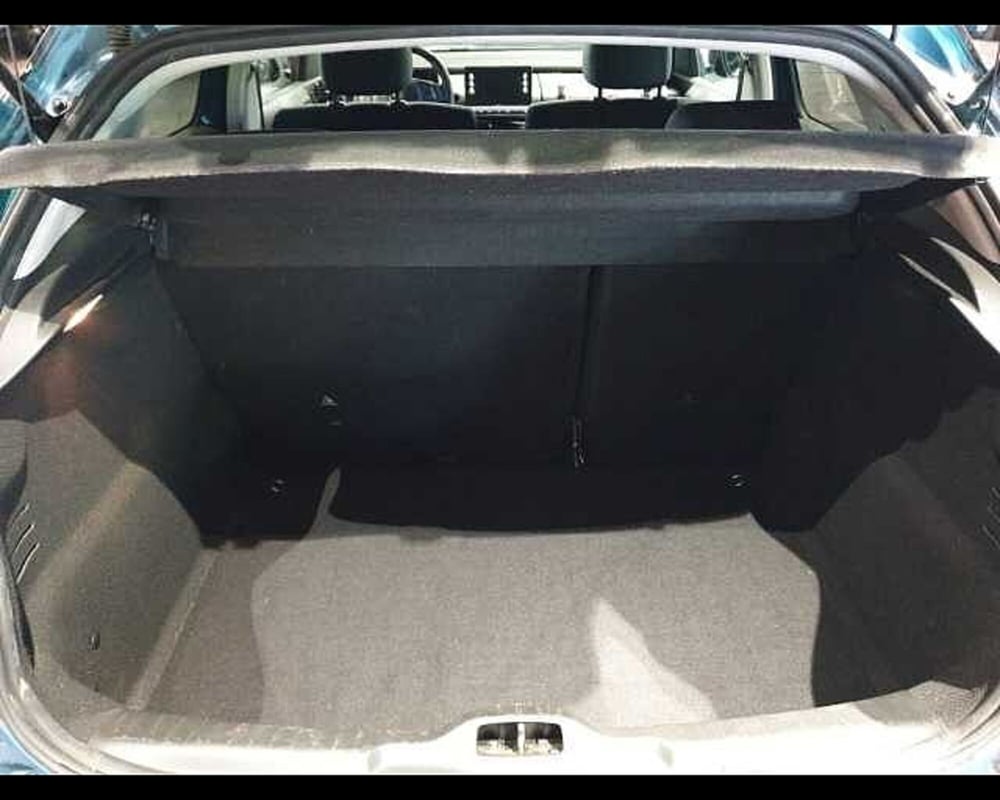 Citroen C4 Cactus usata a Cuneo (7)