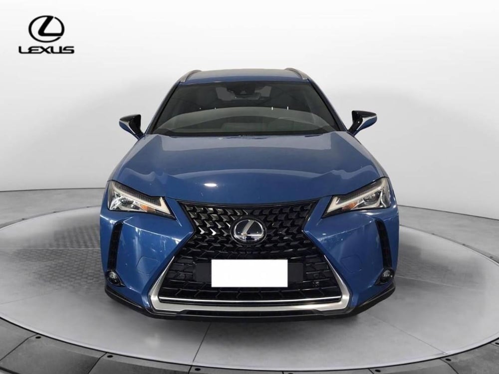 Lexus UX usata a Torino (2)
