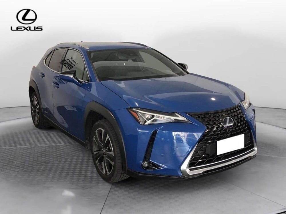 Lexus UX usata a Torino (3)