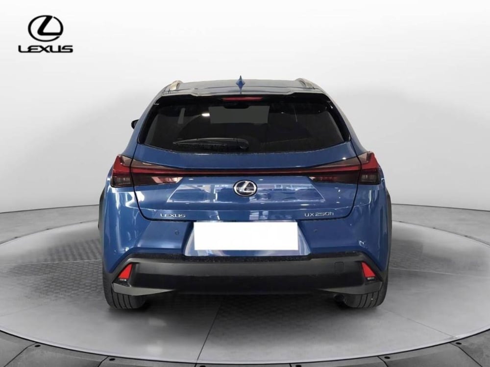 Lexus UX usata a Torino (5)