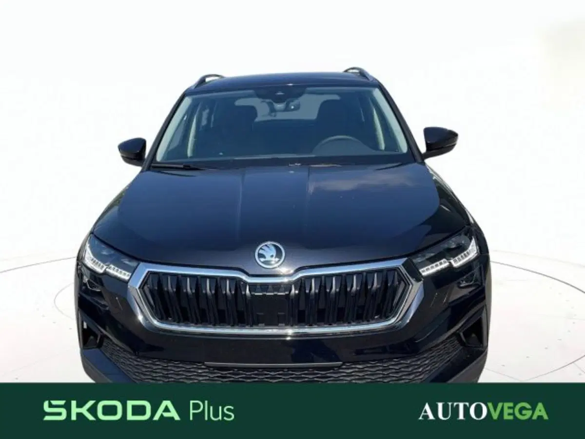 Skoda Karoq usata a Vicenza (2)