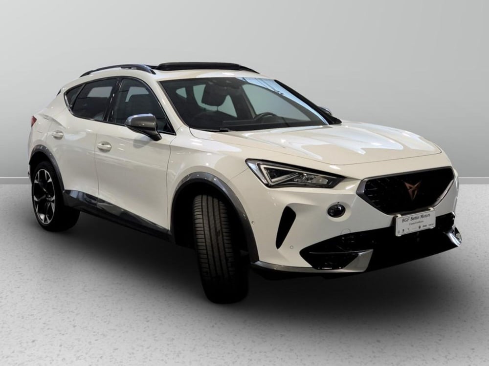 Cupra Formentor usata a Padova (4)