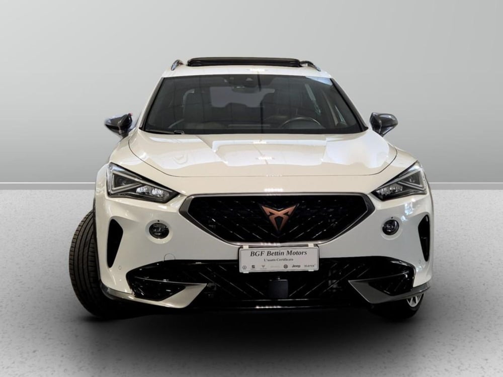 Cupra Formentor usata a Padova (7)