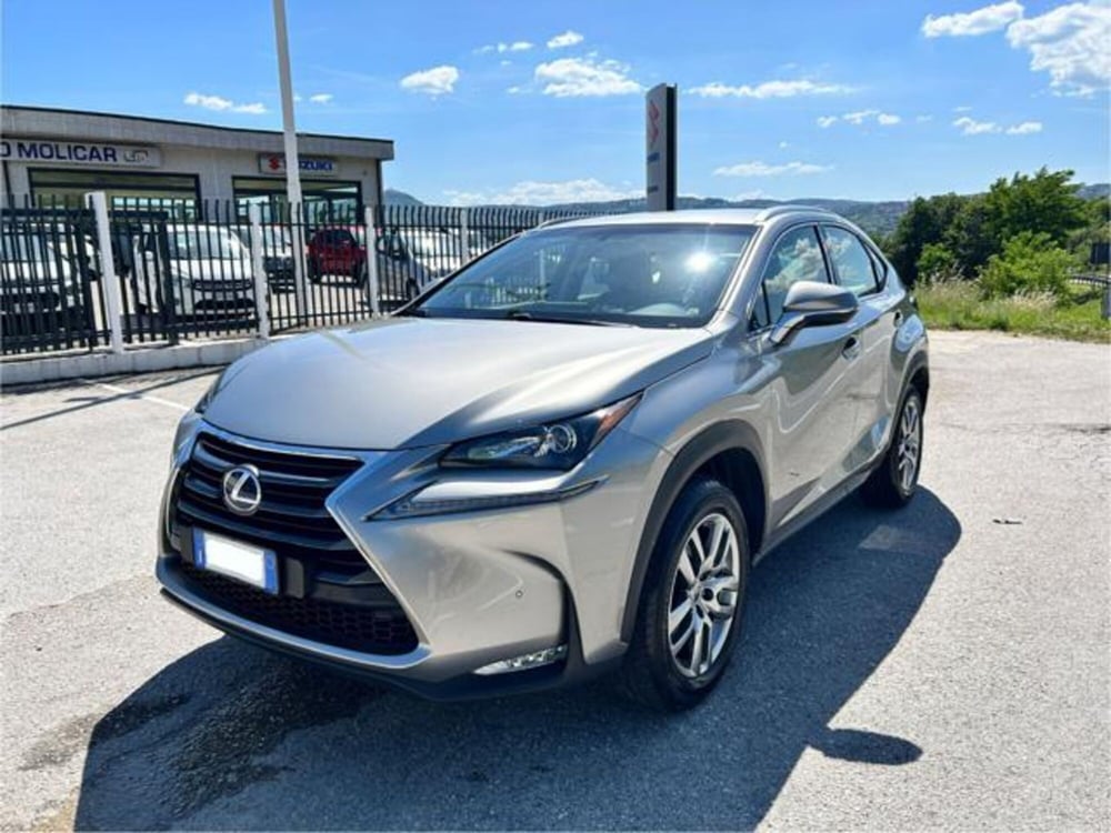 Lexus NX usata a Campobasso (10)