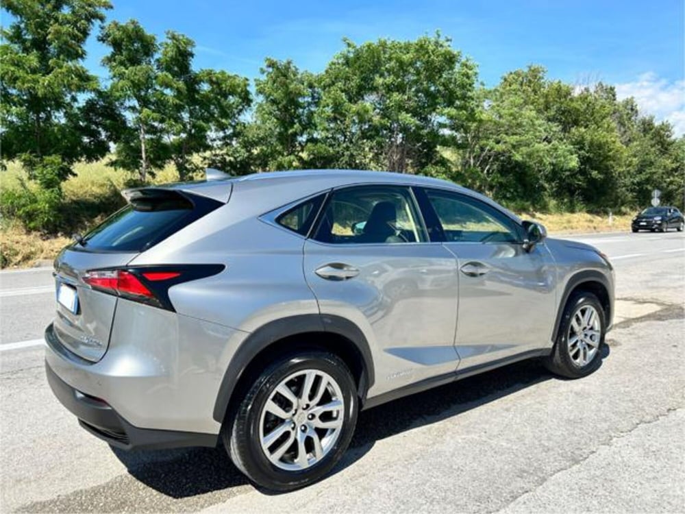 Lexus NX usata a Campobasso (6)