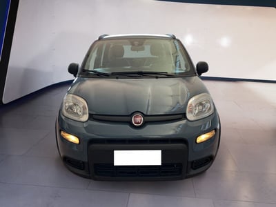 Fiat Panda 1.2 EasyPower City Life del 2022 usata a Torino