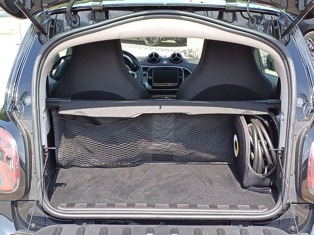 smart Fortwo usata  (11)