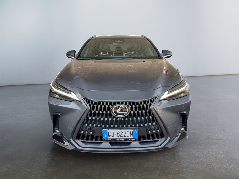 Lexus NX usata a Modena (2)