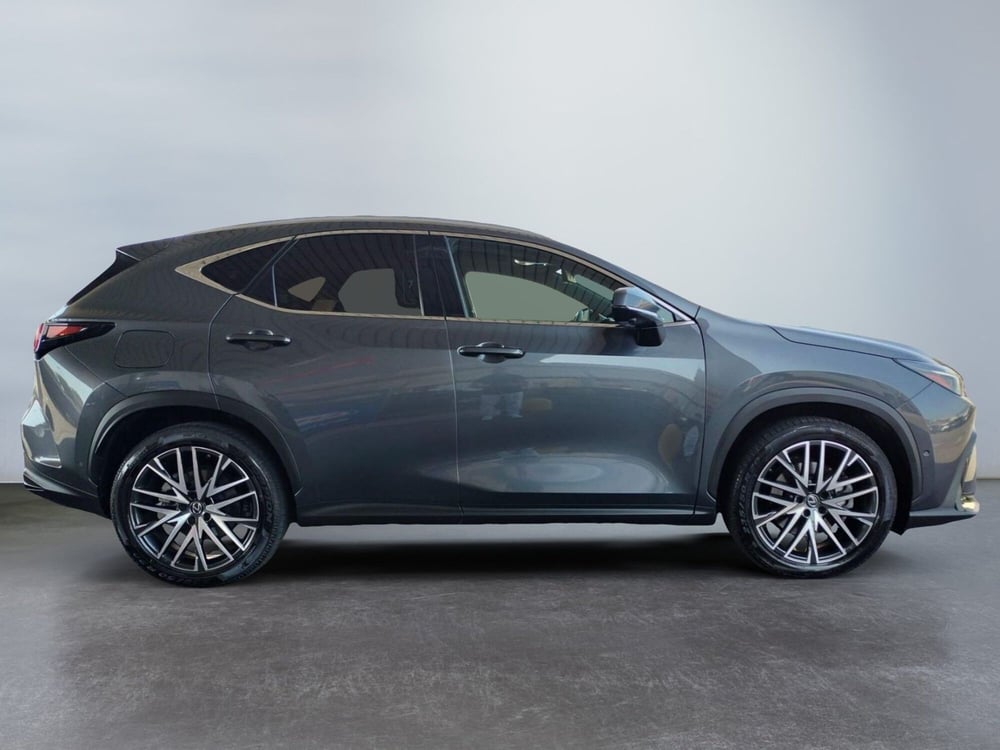Lexus NX usata a Modena (3)