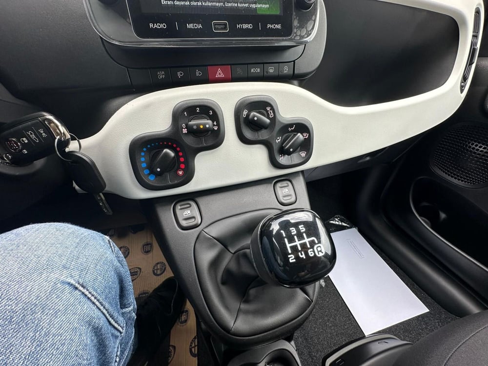 Fiat Panda Cross nuova a Monza e Brianza (11)
