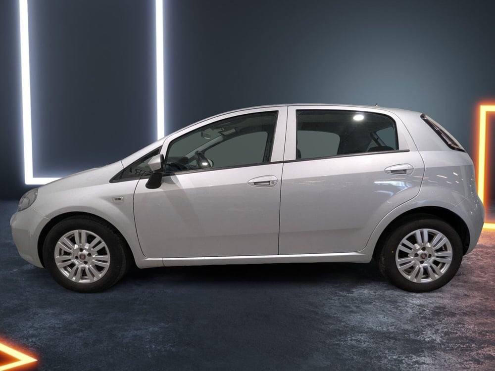 Fiat Punto usata a Trento (2)