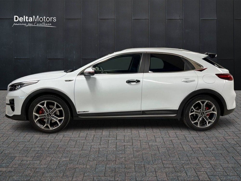 Kia XCeed usata a Macerata (4)