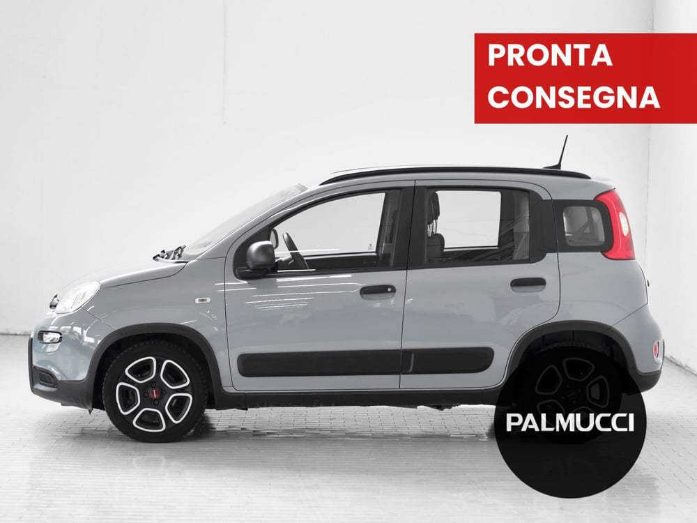 Fiat Panda usata a Prato (3)