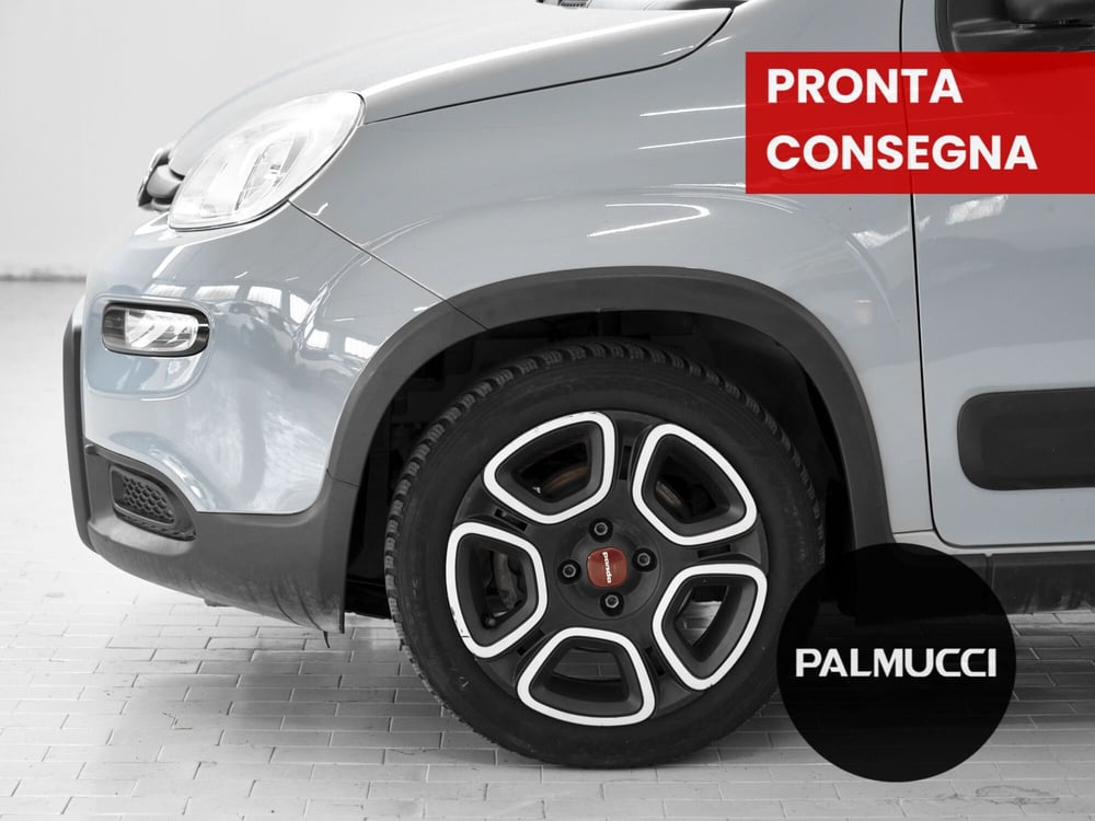 Fiat Panda usata a Prato (5)