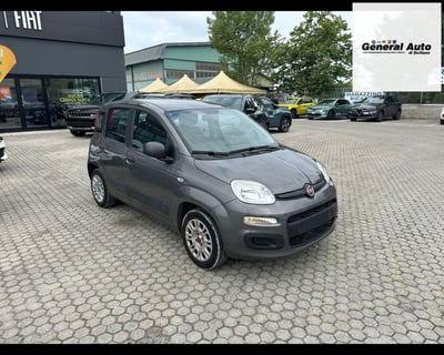 Fiat Panda 1.2 Easy del 2020 usata a Massarosa