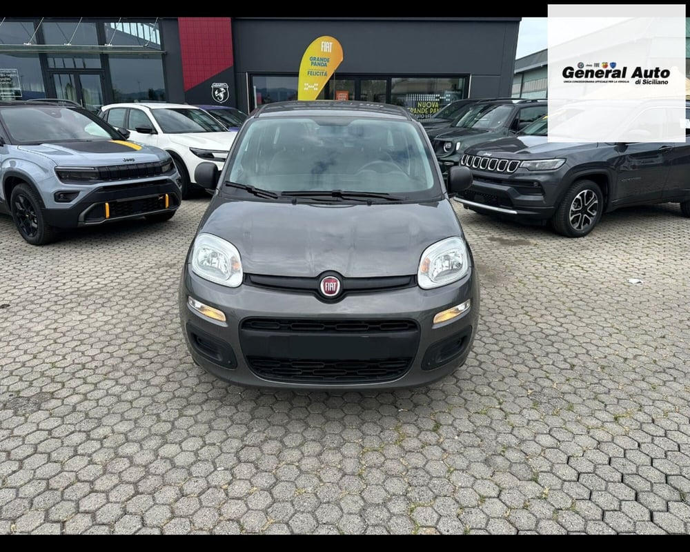 Fiat Panda usata a Lucca (2)