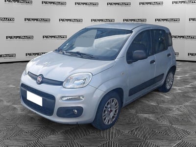 Fiat Panda 1.2 EasyPower Easy del 2016 usata a Piacenza