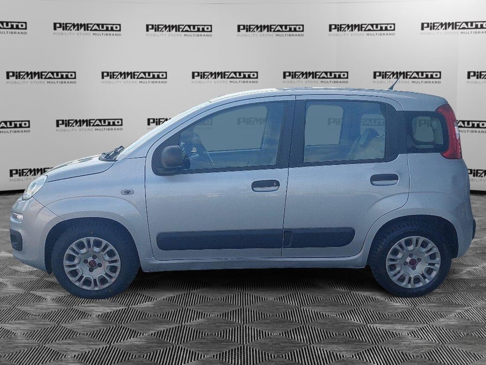Fiat Panda usata a Piacenza (2)