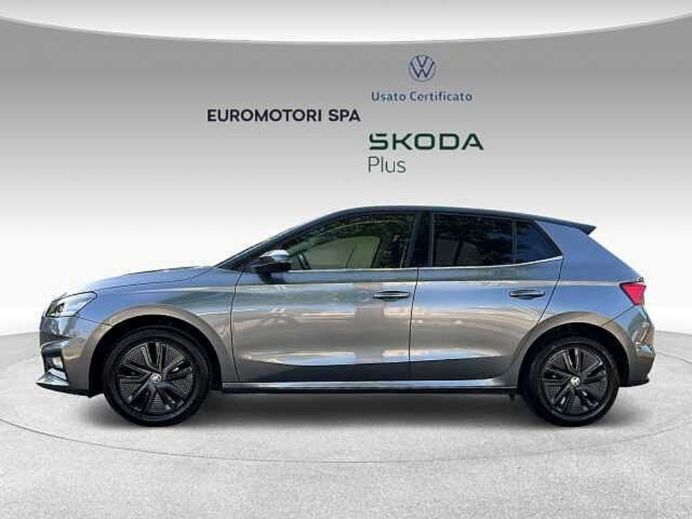 Skoda Fabia usata a Grosseto (2)