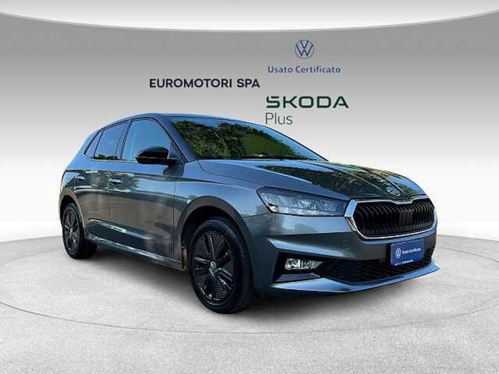 Skoda Fabia usata a Grosseto (6)