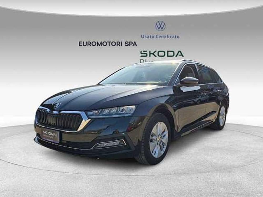Skoda Octavia usata a Grosseto