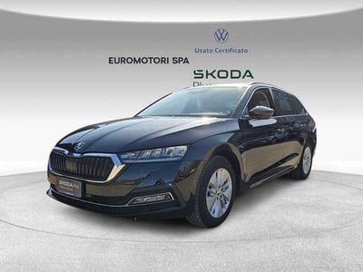 Skoda Octavia 2.0 TDI EVO SCR 150 CV DSG Executive del 2024 usata a Grosseto