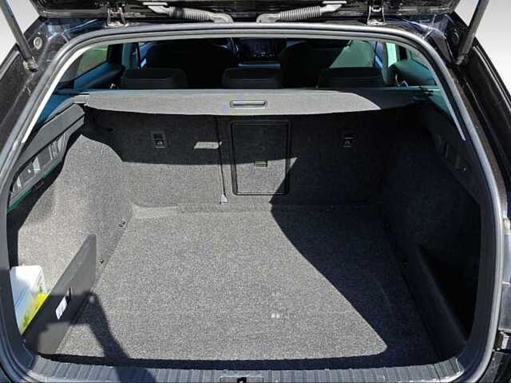 Skoda Octavia usata a Grosseto (14)