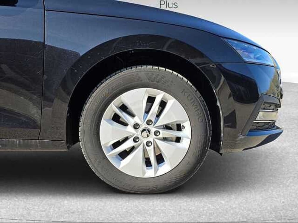 Skoda Octavia usata a Grosseto (15)