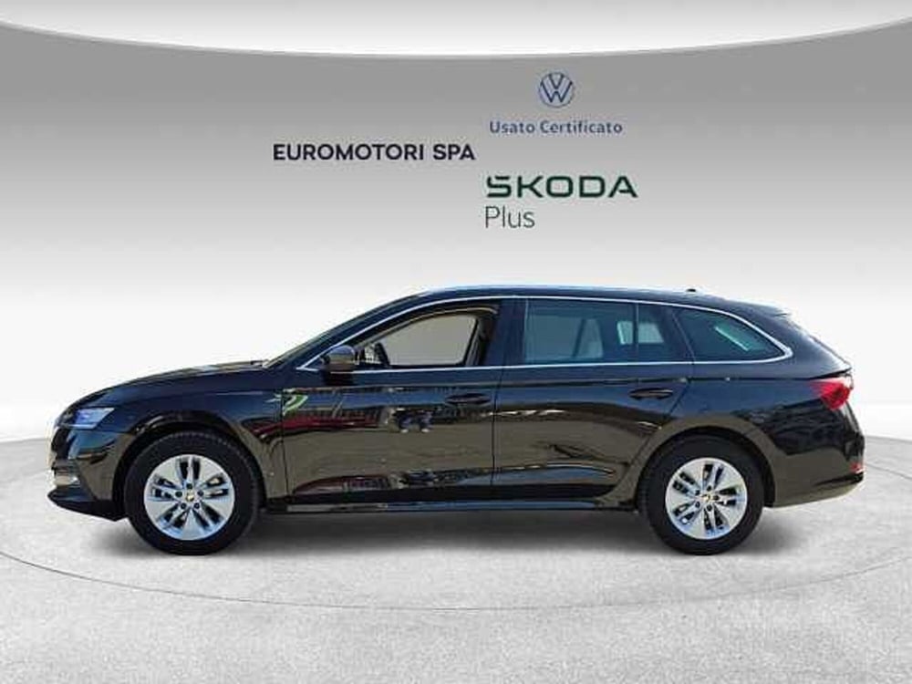 Skoda Octavia usata a Grosseto (2)