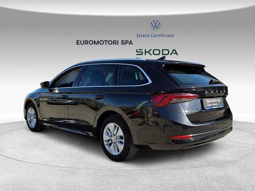 Skoda Octavia usata a Grosseto (3)