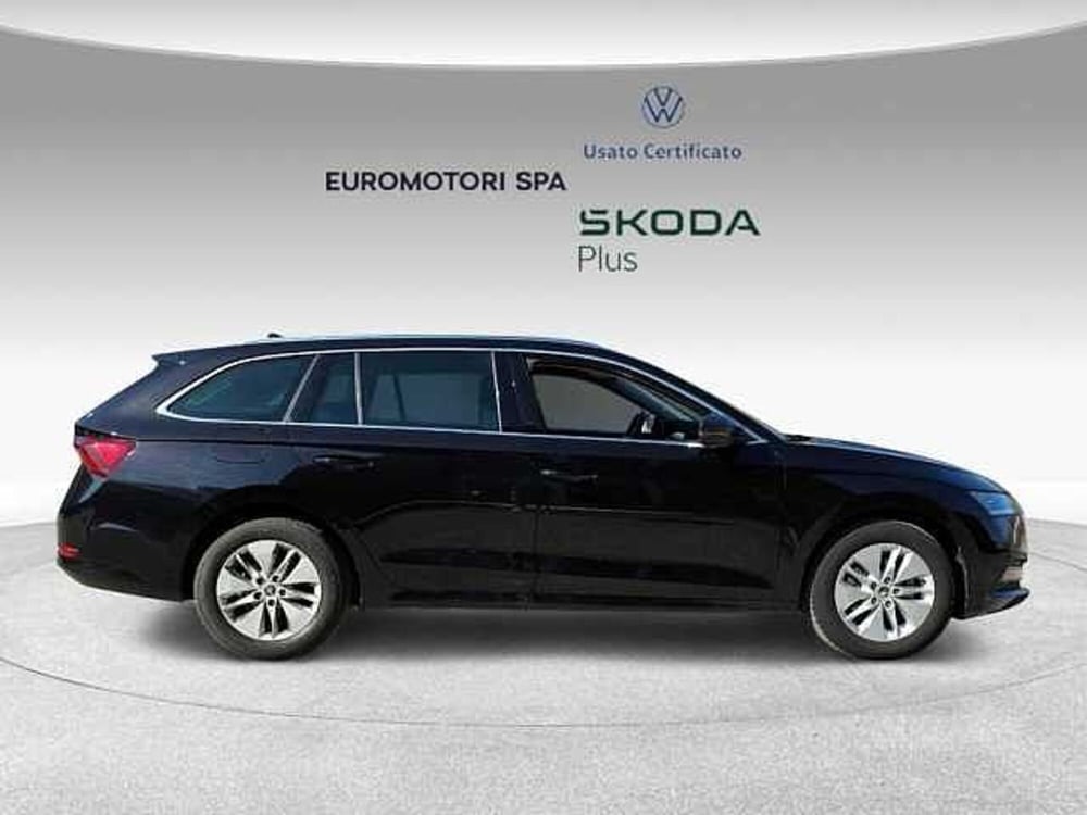 Skoda Octavia usata a Grosseto (5)