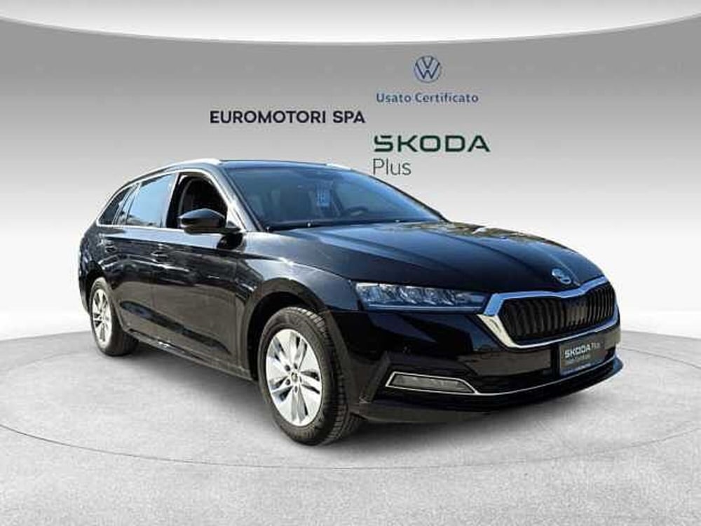 Skoda Octavia usata a Grosseto (6)