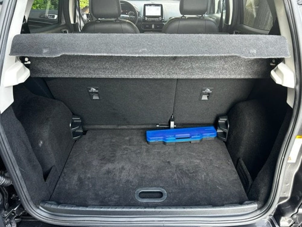 Ford EcoSport usata a Vercelli (12)