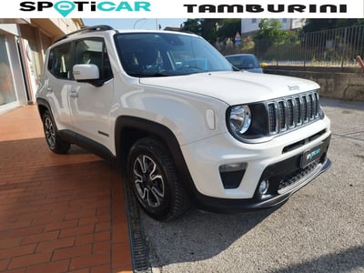 Jeep Renegade 1.6 Mjt 120 CV Longitude del 2019 usata a Cortona
