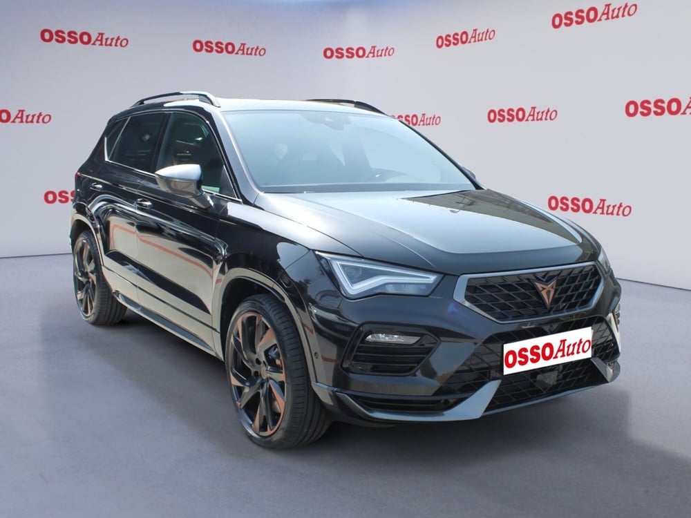 Cupra Ateca usata a Udine (2)